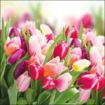 Ambiente Glorious Tulips papírszalvéta 33x33cm, 20db-os