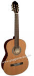 Jose Ribera HG-67, 4/4-es klasszikus gitár hársfa oldal-, és hátlappal