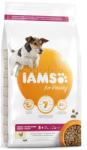 Iams Dog Senior Small Medium Chicken 12 kg