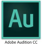 Adobe Audition for teams, Licenta Electronica, 1 an, 1 user (65304482CA01A12)