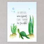  Vászonkép Teknősbéka - 50x40 cm