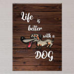  Tacskó Vászonkép - 50x70 cm