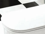 AREZZO design Charlton WC ülőke tetővel Soft Close (NSC) (AR-NSC)