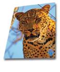 Skag Mapa AR carton cu elastic Skag, 25 x 35 wild animals, leopard (SK239295LEOP)