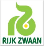 Rijk Zwaan Quarto RZ 1000 szem