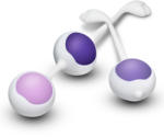 Blush Novelties Wellness Kegel Training Kit Purple
