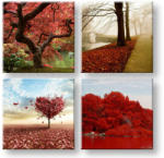  Falfestmény Színes világ 4 rész XOBKOL26E42