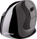 Evoluent Vertical D Medium (VMDM) Mouse