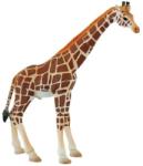 BULLYLAND Girafa mascul (BL4007176637104) - mansarda-copiilor Figurina