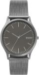 Skagen SKW6553 Ceas