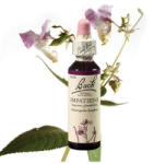  IMPATIENS - NEBÁNCSVIRÁG 20ml - zoldoltalom