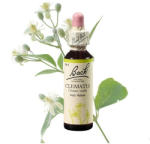  CLEMATIS - ISZALAG 20ml - zoldoltalom