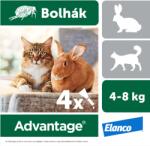Elanco Advantage rácsepegtetõ oldat nagytestű macskáknak és nyulaknak A. U. V. (4x0, 8 ml)