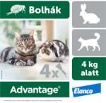 Elanco Advantage rácsepegtetõ oldat kistestű macskáknak és nyulaknak A. U. V. (4x0, 4 ml)