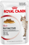 Royal Canin FHN Instinctive in jelly 85 g