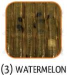 Rapture Evoke Worm 6cm watermelon 12db plasztik csali (188-02-403)