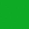  Backgrounds Paper Roll Chroma Green - Fundal carton verde 2.72 x 11m (3679)