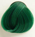 Directions culoarea părului DIRECTIONS - Apple Verde