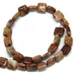  Fosil Coral Margele Pietre Semipretioase Patrat - 14 x 14 x 6 mm - concepttropic - 52,00 RON