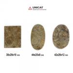  Cabochon Coral Fosilizat Druzy 38-44 x 25-29 x 8-12 mm