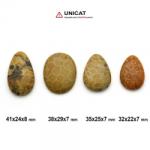  Cabochon Coral Fosilizat 32-41 x 22-29 x 7-8 mm - Unicat