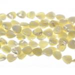  Margele Bijuterii Sidef Galben Scoica 18 x 14 mm