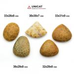  Cabochon Coral Fosilizat 32-38 x 26-31 x 7-9 mm - Unicat