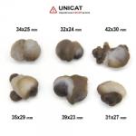 Piatra Bruta Calcedonie Nodular Maroc 31-42 x 23-30 mm - 1 Buc