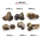  Piatra Bruta Calcedonie Nodular Maroc 32-58 x 25-37 mm - 1 Buc