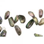  Margele Bijuterii Sidef Neregulat 25x15 ~ 36x21 mm