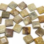  Fosil Coral Margele Pietre Semipretioase Patrat Fatetat- 20 x 6-7 mm