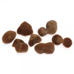  Fosil Stromatolit Maroc Brut - Cristal Natural 27-40 x 20-23 mm ( M ) - 1 Buc