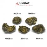  Fosil Natural Pleuroceras Tsumed - 26-45x24-30 mm ( M ) - Unicat