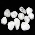  Howlit Alb Rulat Natural - 26-34x16-29 mm - ( L ) - 1 Buc