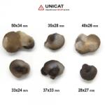 Piatra Bruta Calcedonie Nodular Maroc 28-50 x 24-34 mm - 1 Buc