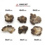  Piatra Bruta Calcedonie Nodular Maroc 48-65 x 36-52 mm - 1 Buc