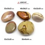 Palm Stone Jasp Policrom Neregulat 43-59 x 32-49 x 21-44 mm (XXL) - Unicat