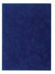 VICTORIA Oklevéltartó A/4 VICTORIA plüss kék, belül kék PVC