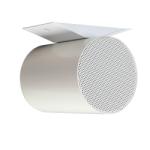 Biamp Apart MPBD5T10 Hangfal