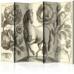 Artgeist Paraván - Horse II [Room Dividers]