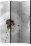 Artgeist Paraván - Grasping the Invisible [Room Dividers]