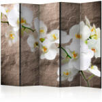 Artgeist Paraván - Impeccability of the Orchid II [Room Dividers]