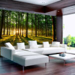 Artgeist Fotótapéta - Spring: Morning in the Forest - terkep-center - 16 650 Ft