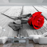 Artgeist Fotótapéta - Abandoned Rose - terkep-center - 27 891 Ft