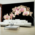 Artgeist Fotótapéta - Virágzó orchidea