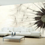 Artgeist Fotótapéta - White Dandelion - terkep-center - 16 650 Ft