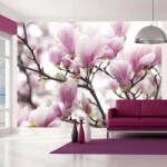 Artgeist Fotótapéta - Magnolia bloosom - terkep-center - 34 200 Ft