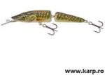 Salmo Vobler Salmo Pike PE11JDR PE, 11cm, 14g (84491872)