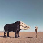 Man Man Dreaming Hunting In The