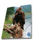 Skag vultur (SK239295V)